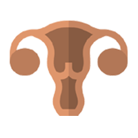 Gynaecology