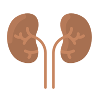 Nephrology