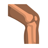 Orthopaedic