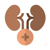 Urology